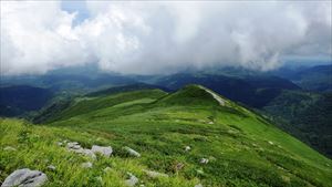 7合目～山頂までの花のシーズンは過ぎてしまい、花畑とはいきませんでしたがたくさんの花々を見ることができました。