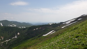 高山植物の咲く8合目手前の様子