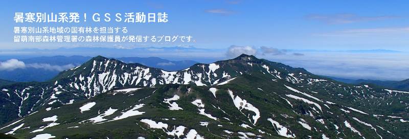 暑寒別山系発!GSS活動日誌