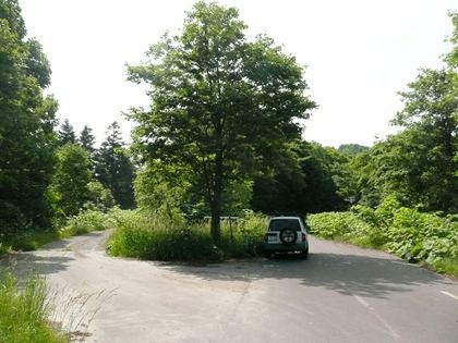 箸別ルートへ至る町道上では道有林笹沼林道への分岐点があります