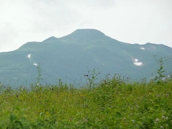 定点地よりみた暑寒別岳本峰は今日も鮮明に見えていました