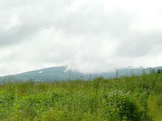 定点ポイントから夏日の暑寒別岳