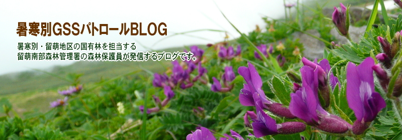 暑寒別GSSパトロールBLOG