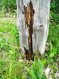 柱がボロボロ要交換です