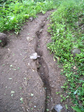 雨で削られた登山道