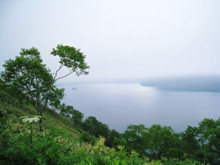 摩周湖は見えましたが、摩周岳は霧がかかっていました