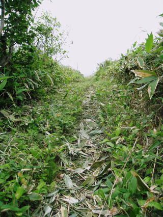 登山道の草刈りをしたようです。