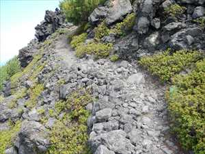 踏み跡によってルートが明確に