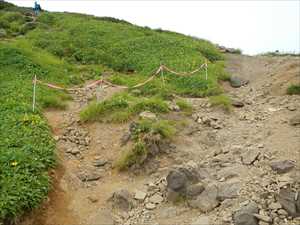 歩道外は通行しないように