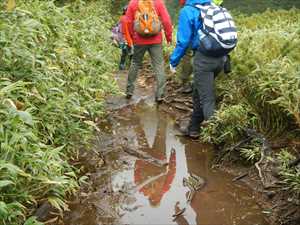 雨水もあり足元に注意しながら進む