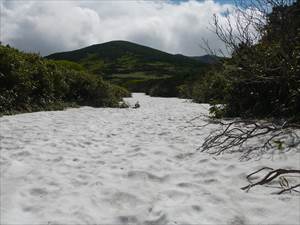 雪に覆われる登山道
