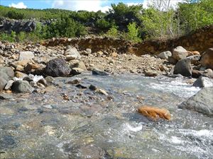 沢の水量が多く流れもが速いため