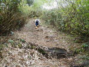 富良野西岳までの歩道