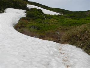雪に覆われる登山道