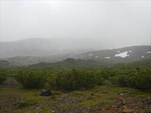 雲に覆われる十勝岳