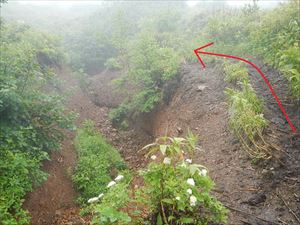 半面山から歩道の一部区間では、土がむき出しになっており滑落の危険もありますので、通行には注意して下さい。（矢印は歩道ルート）