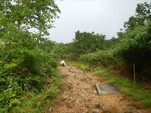 登山道入口