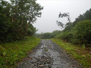 歩道