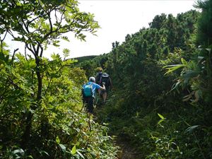 外国人登山者