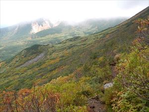 登山道