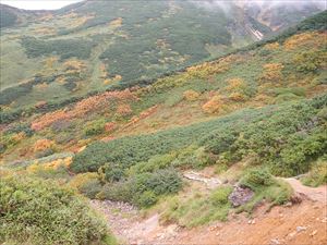 三峰山の斜面