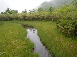 熊の沼と呼ばれる水場