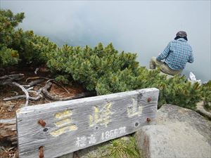 三峰山山頂の標識付近では、ハイマツの花も盛期