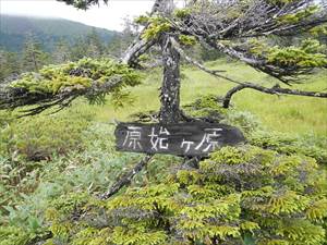 原始ヶ原高層湿原