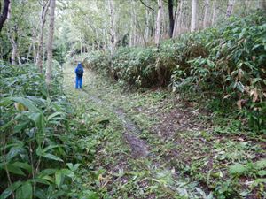 白銀荘歩道入口付近