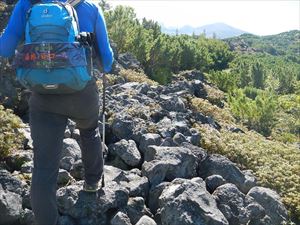 火山帯らしい岩場の上に開かれたルートを進みます。