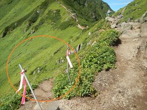 歩道逸脱防止の案内テープを確認