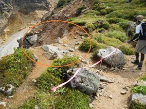 上富良野岳肩付近では、崩れ易い不安定な崖地に鉄杭及ピンクテープで歩道逸脱・転落防止措置を施します。