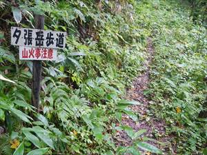 夕張岳歩道入り口