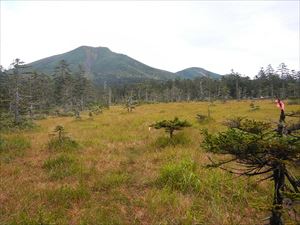 湿地帯での歩道の目印は、点々と付けられた蛍光色のテープ、まれに設置してある、朽ちかけた古い看板、そしてやや不明瞭な踏み跡となっています。