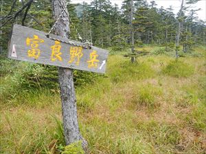 本日は、原始ヶ原から富良野岳方面へ足を伸ばし、1キロメートルほど先の歩道まで巡視を実施しました。