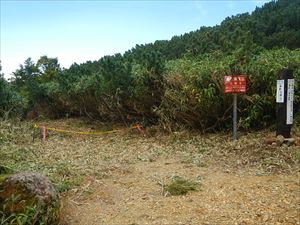 三段山分岐の歩道