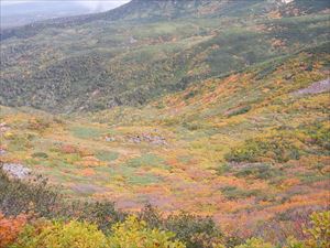 三峰山下の斜面から、歩道入口方面を見下ろすと、紅葉した植生が眼下に広がっていました。