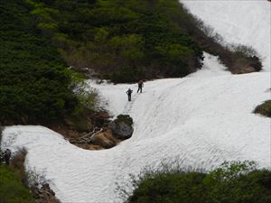 所々雪渓が残っており、踏み抜きに注意しながら進みます。