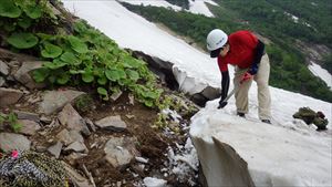 エイコの沢付近の残雪の段差を減らし、本来の歩道の位置に誘導する作業を行いました。