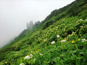 花畑の向こうにマネキ岩を望む