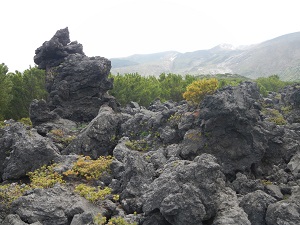 火山岩の岩場