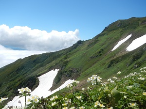 雪渓