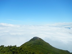 雲海