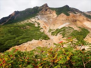 三段山とウラジロナナカマド