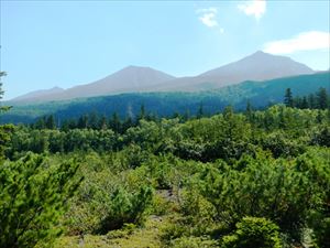 左がオブタテシケ山・中央が美瑛富士・右が美瑛岳