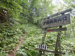 夕張岳・金山コース歩道入口