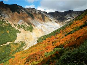 本日は、十勝岳温泉歩道入口から上富良野岳を巡視します。