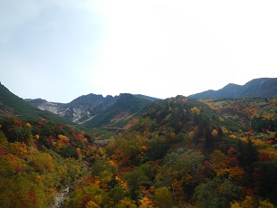 十勝岳歩道入口付近の紅葉