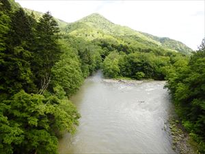 トナシベツ川