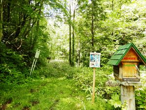 夕張岳金山コース歩道入口